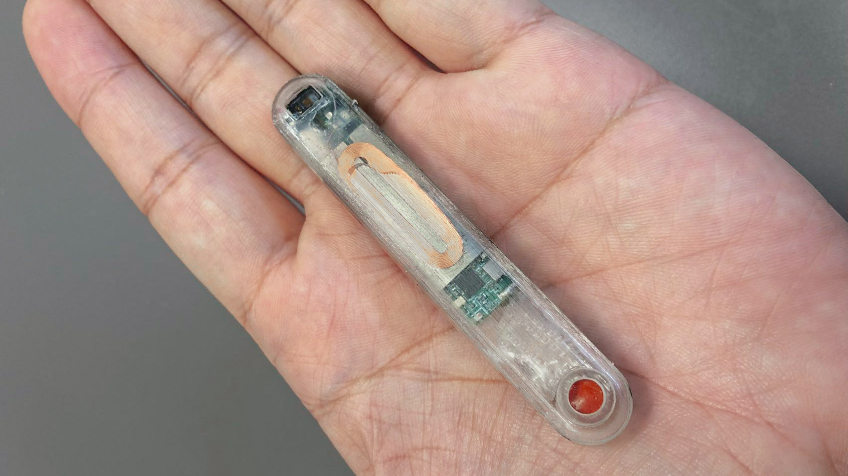 hand holding implantable sensor