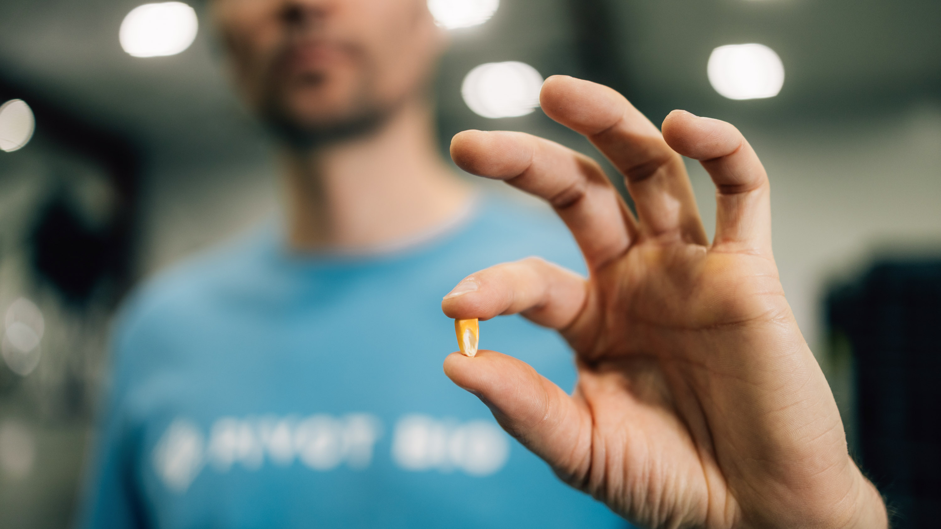 an out-of-focus person in a Pivot Bio T-shirt holds up a single kernel of corn